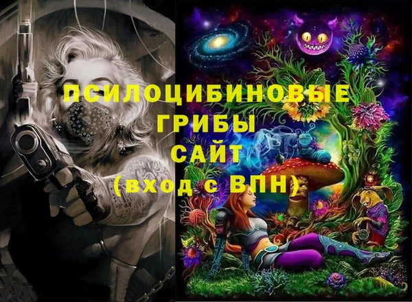 хмурый Горно-Алтайск