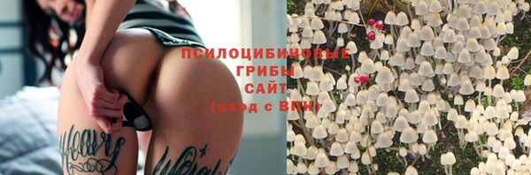 хмурый Горно-Алтайск