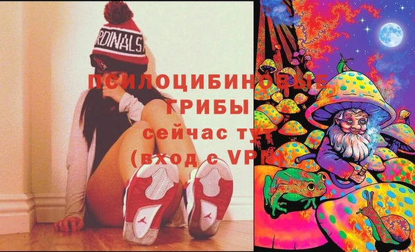 хмурый Горно-Алтайск