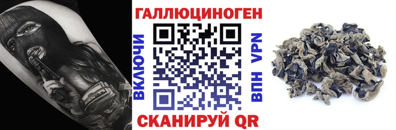 продажа наркотиков  МЕГА ТОР  Псилоцибиновые грибы MAGIC MUSHROOMS  Емва 
