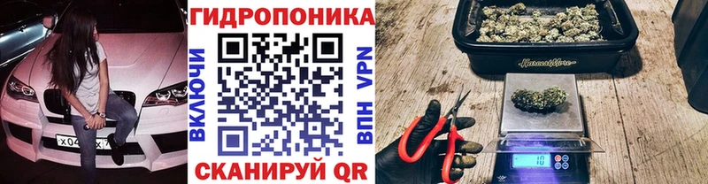 купить наркотик  Емва  Бошки марихуана сатива 